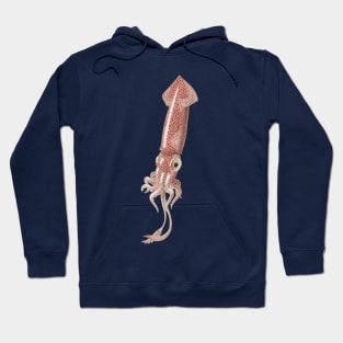 Boreal Squid Hoodie